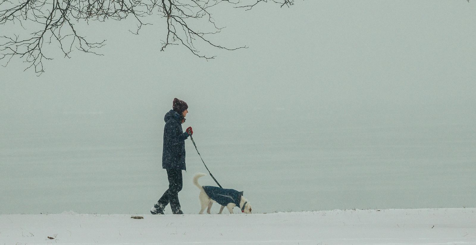 Walking a dog on a snowy winter morning